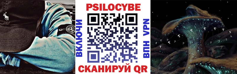 mega ONION  Кизляр  Псилоцибиновые грибы Magic Shrooms 