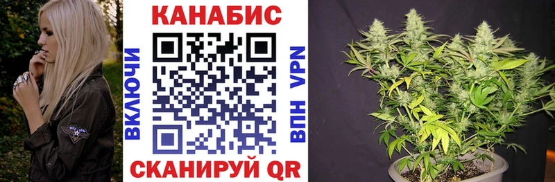 МАРИХУАНА гибрид Кизляр